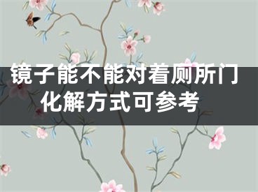 镜子能不能对着厕所门 化解方式可参考