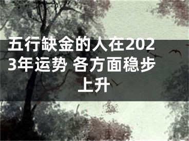 五行缺金的人在2023年运势 各方面稳步上升