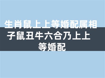 生肖鼠上上等婚配属相 子鼠丑牛六合乃上上等婚配