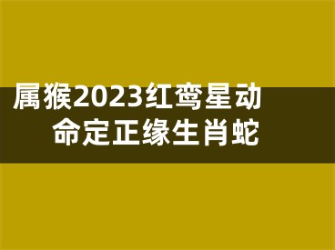 属猴2023红鸾星动 命定正缘生肖蛇