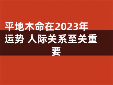 平地木命在2023年运势 人际关系至关重要