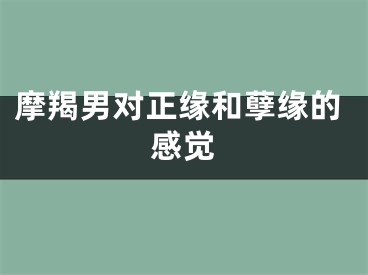 摩羯男对正缘和孽缘的感觉