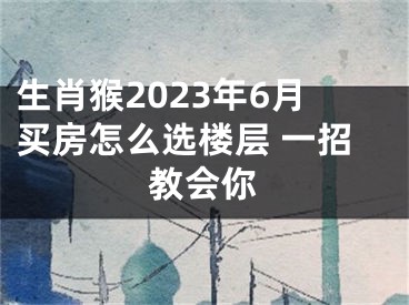 生肖猴2023年6月买房怎么选楼层 一招教会你