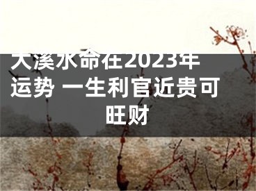 大溪水命在2023年运势 一生利官近贵可旺财