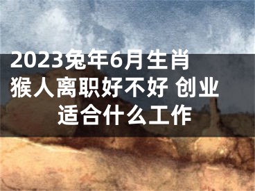 2023兔年6月生肖猴人离职好不好 创业适合什么工作