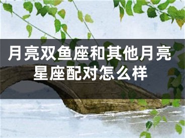 月亮双鱼座和其他月亮星座配对怎么样