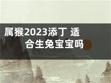 属猴2023添丁 适合生兔宝宝吗