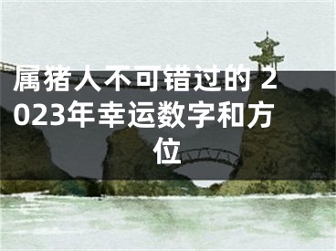 属猪人不可错过的 2023年幸运数字和方位