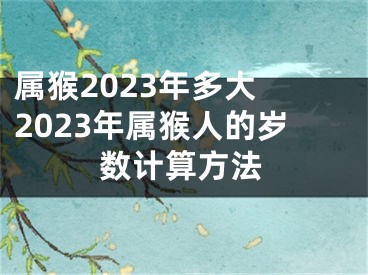 属猴2023年多大 2023年属猴人的岁数计算方法