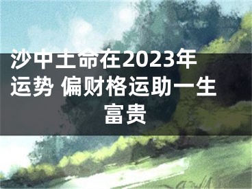 沙中土命在2023年运势 偏财格运助一生富贵