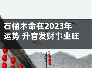 石榴木命在2023年运势 升官发财事业旺