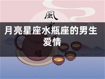 月亮星座水瓶座的男生爱情