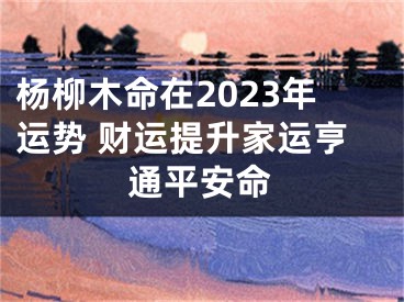 杨柳木命在2023年运势 财运提升家运亨通平安命