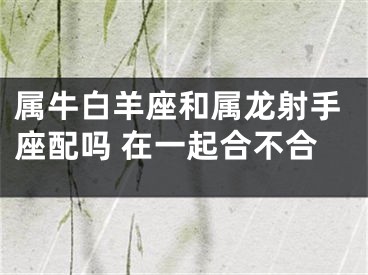 属牛白羊座和属龙射手座配吗 在一起合不合