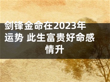 剑锋金命在2023年运势 此生富贵好命感情升