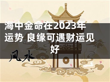 海中金命在2023年运势 良缘可遇财运见好