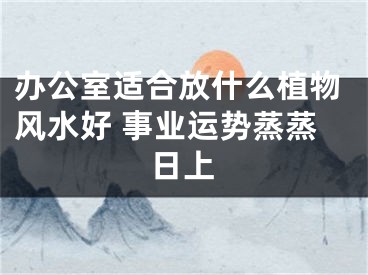 办公室适合放什么植物风水好 事业运势蒸蒸日上