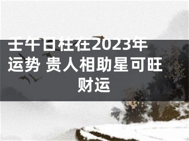 壬午日柱在2023年运势 贵人相助星可旺财运