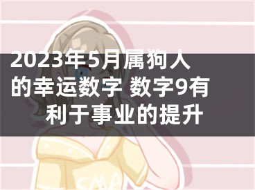 2023年5月属狗人的幸运数字 数字9有利于事业的提升