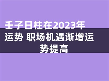 壬子日柱在2023年运势 职场机遇渐增运势提高