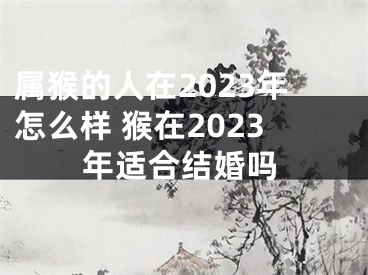 属猴的人在2023年怎么样 猴在2023年适合结婚吗