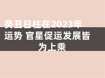 癸丑日柱在2023年运势 官星促运发展皆为上乘