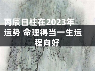 丙辰日柱在2023年运势 命理得当一生运程向好