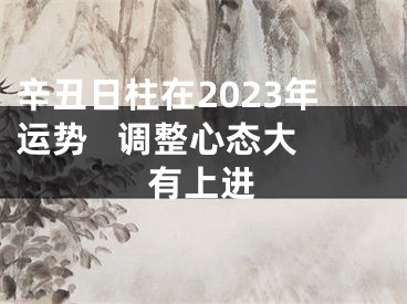 辛丑日柱在2023年运势   调整心态大有上进