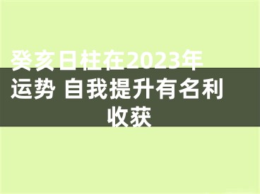 癸亥日柱在2023年运势 自我提升有名利收获