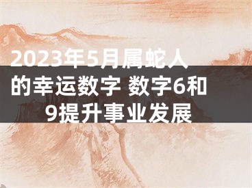 2023年5月属蛇人的幸运数字 数字6和9提升事业发展