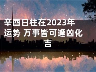 辛酉日柱在2023年运势 万事皆可逢凶化吉