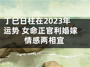 丁巳日柱在2023年运势 女命正官利婚嫁情感两相宜