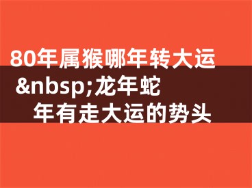 80年属猴哪年转大运 &nbsp;龙年蛇年有走大运的势头