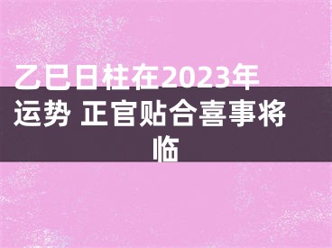 乙巳日柱在2023年运势 正官贴合喜事将临