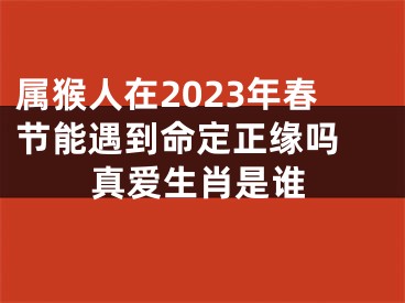 属猴人在2023年春节能遇到命定正缘吗 真爱生肖是谁