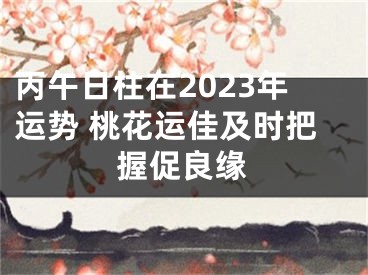 丙午日柱在2023年运势 桃花运佳及时把握促良缘