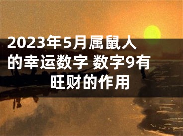 2023年5月属鼠人的幸运数字 数字9有旺财的作用