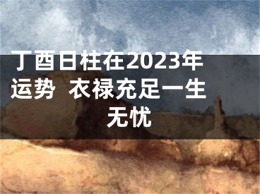 丁酉日柱在2023年运势  衣禄充足一生无忧