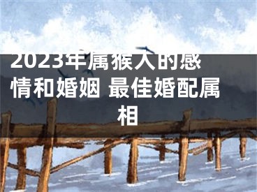 2023年属猴人的感情和婚姻 最佳婚配属相