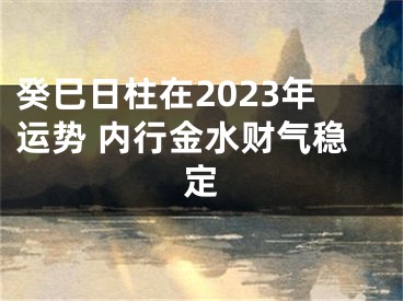 癸巳日柱在2023年运势 内行金水财气稳定