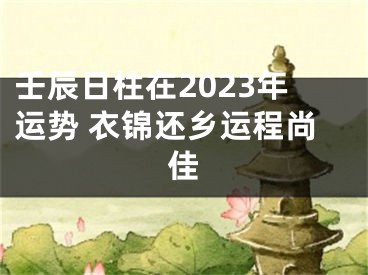 壬辰日柱在2023年运势 衣锦还乡运程尚佳