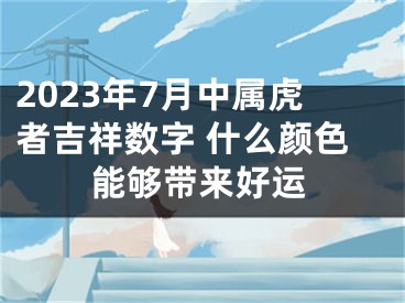 2023年7月中属虎者吉祥数字 什么颜色能够带来好运