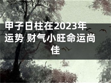 甲子日柱在2023年运势 财气小旺命运尚佳