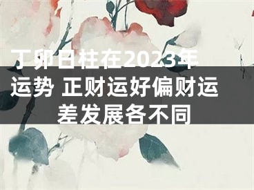 丁卯日柱在2023年运势 正财运好偏财运差发展各不同