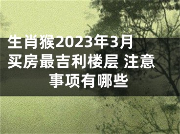 生肖猴2023年3月买房最吉利楼层 注意事项有哪些