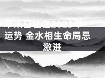 辛未日柱在2023年运势 金水相生命局忌激进