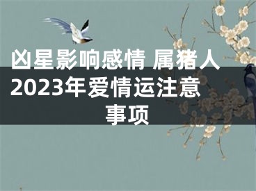 凶星影响感情 属猪人2023年爱情运注意事项