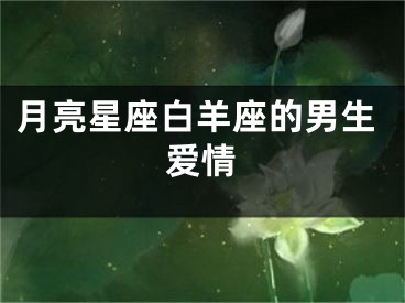 月亮星座白羊座的男生爱情