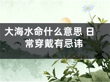 大海水命什么意思 日常穿戴有忌讳