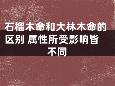 石榴木命和大林木命的区别 属性所受影响皆不同